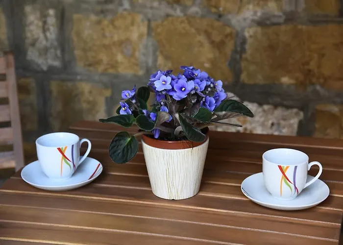 Διαμέρισμα Downtown Korina *